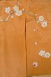 Photo7: O1105B Antique Japanese kimono Pale Orange FURISODE long-sleeved for women / Silk. Peony (Grade C) (7)
