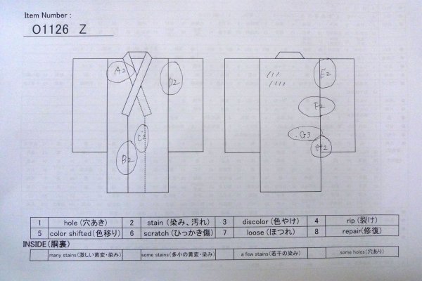 Photo16: O1126Z Used Japanese kimono Wisteria TSUKESAGE formal for women / Silk. People (Grade C) (16)