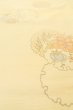 Photo10: O1209L Vintage Japanese kimono Pale Ivory TSUMUGI pongee for women / Silk. Flower (Grade C) (10)