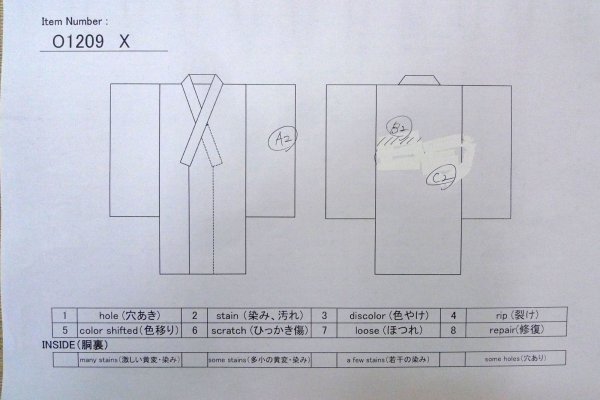 Photo13: O1209X Vintage Japanese kimono Ivory TSUMUGI pongee for women / Silk. Flower (Grade C) (13)