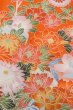 Photo5: O1225R Vintage Japanese kimono Pale Orange Kimono for Girls for women / Silk. SAKURA cherry blossom (Grade B) (5)