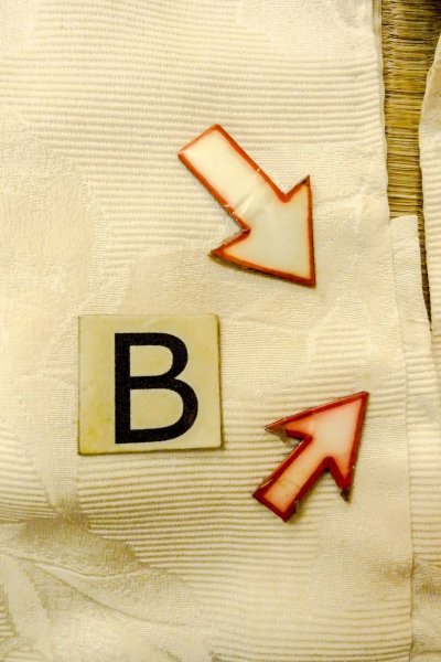 Photo11: P0109D Vintage Japanese kimono Ivory HAORI short jacket for women / Silk. Leaf (Grade C) (11)