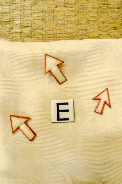 Photo14: P0109D Vintage Japanese kimono Ivory HAORI short jacket for women / Silk. Leaf (Grade C) (14)