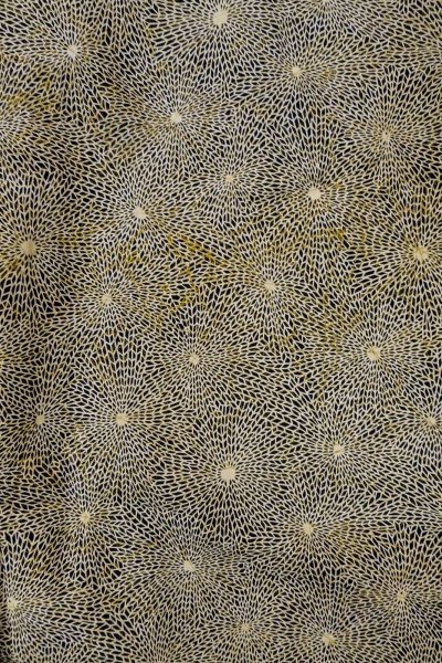 Photo4: P0123D Vintage Japanese kimono Black HAORI short jacket for women / Silk. Flower (Grade A) (4)