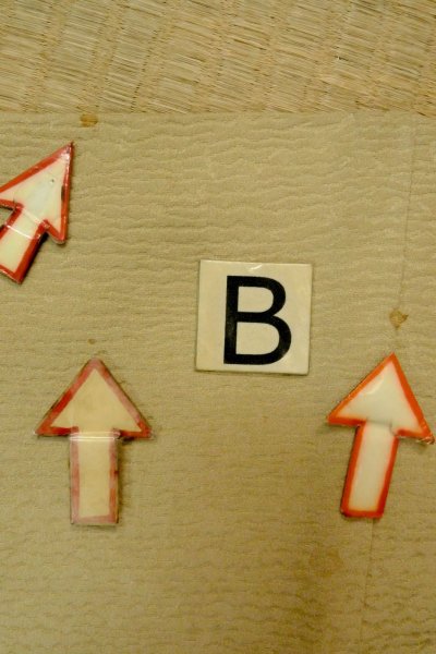 Photo15: P0124D Vintage Japanese kimono Pale Beige HAORI short jacket for women / Silk. Leaf (Grade C) (15)