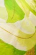 Photo10: P0206E Vintage Japanese Kimono  Pale Yellowish Green  FUKURO OBI sash Leaf Silk. (Grade B) (10)