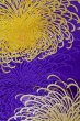 Photo4: P0206I Vintage Japanese Kimono  Vivid Purple  FUKURO OBI sash Chrysanthemum Silk. (Grade B) (4)