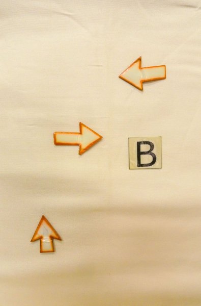 Photo12: P0206N Vintage Japanese Kimono  Shiny Gold  FUKURO OBI sash Peony Silk. (Grade B) (12)