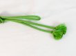 Photo4: Mint P0220XA Vintage Japanese Kimono   Green  OBIJIME decorative string/cord/rope  Zig Zag Silk. (Grade A) (4)