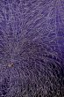 Photo3: P0225A Antique Japanese kimono Dark Purple ORI woven for women / Silk. Chrysanthemum (Grade B) (3)