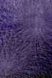 Photo4: P0225A Antique Japanese kimono Dark Purple ORI woven for women / Silk. Chrysanthemum (Grade B) (4)