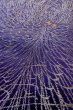 Photo10: P0225A Antique Japanese kimono Dark Purple ORI woven for women / Silk. Chrysanthemum (Grade B) (10)