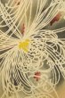 Photo5: P0225C Antique Japanese kimono Pale Grayish Multi Color KOMON dyed for women / Silk. Chrysanthemum (Grade C) (5)