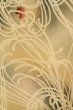 Photo6: P0225C Antique Japanese kimono Pale Grayish Multi Color KOMON dyed for women / Silk. Chrysanthemum (Grade C) (6)