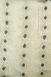 Photo3: Mint P0225E Vintage Japanese kimono Light Gray HITOE unlined for women / Silk. Lozenges (Grade A) (3)