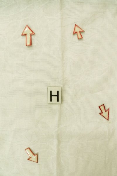 Photo22: P0225Y Vintage Japanese kimono White JUBAN undergarment for women / Linen. Camellia (Grade C) (22)