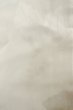 Photo7: P0225Z Vintage Japanese kimono White JUBAN undergarment for women / Synthetic. KIRI paulownia (Grade B) (7)