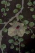 Photo7: Mint P0312A Antique Japanese kimono Black HAORI short jacket for women / Silk. Camellia (Grade A) (7)