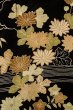 Photo7: P0312J Antique Japanese kimono Black HAORI short jacket for women / Silk. Chrysanthemum (Grade C) (7)