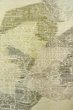Photo5: P0408B Vintage Japanese kimono Ivory TSUMUGI pongee for women / Silk. Stream (Grade B) (5)