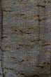 Photo1: P0408E Vintage Japanese kimono Black TSUMUGI pongee for women / Silk. Abstract pattern (Grade B) (1)