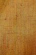 Photo7: P0408M Vintage Japanese kimono Brownish Orange TSUMUGI pongee for women / Silk. Stripes (Grade B) (7)