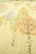 Photo10: P0409E Vintage Japanese kimono Ivory TSUMUGI pongee for women / Silk. Tree (Grade B) (10)