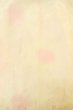 Photo4: P0421O Vintage Japanese kimono Pale Pink JUBAN undergarment for women / Silk. Gradation (Grade B) (4)