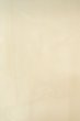Photo5: P0421U Vintage Japanese kimono Shiny White JUBAN undergarment for women / Synthetic. (Grade B) (5)