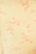 Photo3: P0422C Vintage Japanese kimono Light Ivory JUBAN undergarment for women / Mousseline. UME plum bloom, There are holes (Grade D) (3)
