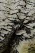Photo20: Mint P0526I Vintage Japanese kimono Dark Brown Men's Haori for men / Silk. Tree (Grade A) (20)