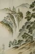 Photo14: P0526J Vintage Japanese kimono Brown OSHIMA-TSUMUGI for men / Silk. Pine tree/branch/needle (Grade B) (14)