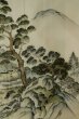 Photo16: P0526J Vintage Japanese kimono Brown OSHIMA-TSUMUGI for men / Silk. Pine tree/branch/needle (Grade B) (16)