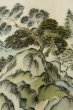 Photo18: P0526J Vintage Japanese kimono Brown OSHIMA-TSUMUGI for men / Silk. Pine tree/branch/needle (Grade B) (18)