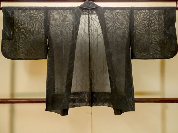 Photo2: P0602X Vintage Japanese kimono Black HAORI short jacket for women / Silk. Tall grass (Grade B) (2)