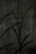Photo6: P0602X Vintage Japanese kimono Black HAORI short jacket for women / Silk. Tall grass (Grade B) (6)