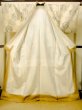 Photo2: P0616Q Vintage Japanese kimono Light Beige TSUMUGI pongee for women / Silk. Phoenix (Grade C) (2)