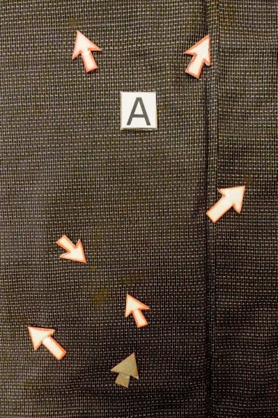 Photo10: P0723B Vintage Japanese kimono Dark Brown OSHIMA-TSUMUGI for men / Silk. Geometrical pattern (Grade C) (10)