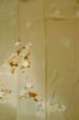 Photo3: P0731V Antique Japanese kimono Pale Brown TOMESODE formal for women / Silk. Peony, Based woven pattern: Shellfish, Letters of  Incense game (Grade B) (3)