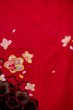 Photo3: P0818A Used Japanese kimono Dark Red Kimono for Girls for women / Synthetic. SAKURA cherry blossom (Grade C) (3)