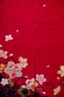 Photo5: P0818A Used Japanese kimono Dark Red Kimono for Girls for women / Synthetic. SAKURA cherry blossom (Grade C) (5)