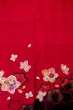 Photo6: P0818A Used Japanese kimono Dark Red Kimono for Girls for women / Synthetic. SAKURA cherry blossom (Grade C) (6)