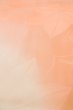 Photo8: P0901K Vintage Japanese kimono Pale Coral JUBAN undergarment for women / Silk. (Grade C) (8)