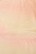 Photo10: P0901O Vintage Japanese kimono Light Pink JUBAN undergarment for women / Silk., There is and impression of use. (Grade C) (10)