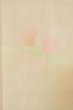 Photo7: P0901V Vintage Japanese kimono Pale Pink JUBAN undergarment for women / Silk. Cattleya (Grade B) (7)
