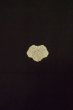 Photo3: P0902A Vintage Japanese kimono Black MONTSUKI crests for women / Silk., There are stains. (Grade D) (3)