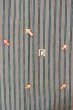 Photo15: P0916K Vintage Japanese kimono Pale Grayish Pink HITOE unlined for women / Wool. Stripes, There are stains and impression of use. (Grade D) (15)