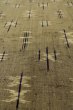 Photo10: P0916M Vintage Japanese kimono Grayish Brownish Beige HITOE unlined for women / Wool. Parallel Cross (Grade C) (10)